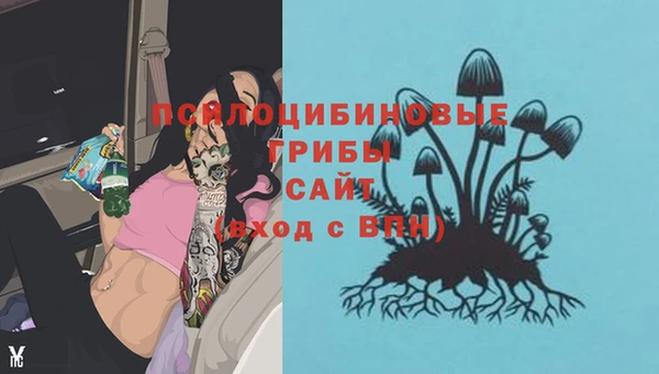 дмт Абаза