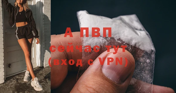 тгк Алексин