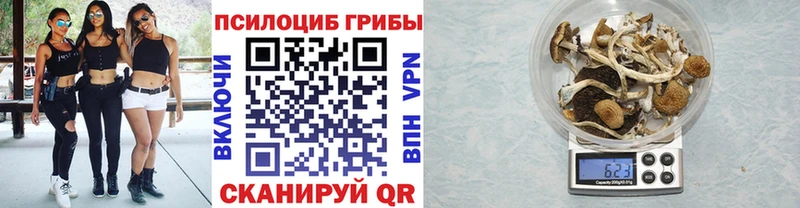Галлюциногенные грибы Psilocybe  MEGA ССЫЛКА  Вышний Волочёк 
