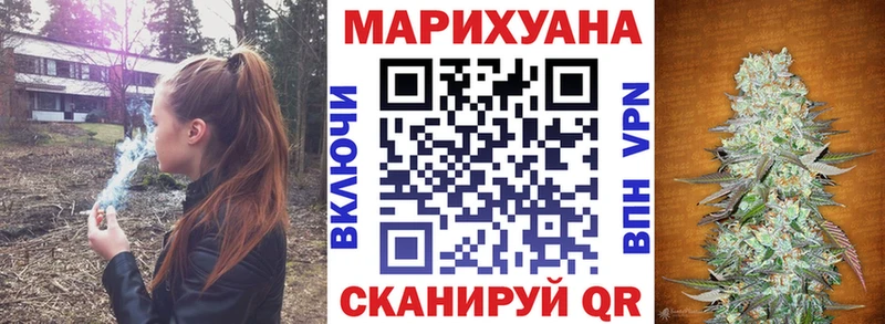 где можно купить Вышний Волочёк Бошки марихуана сатива